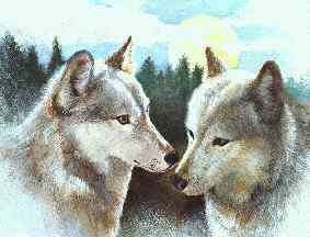 Northwords Courtship